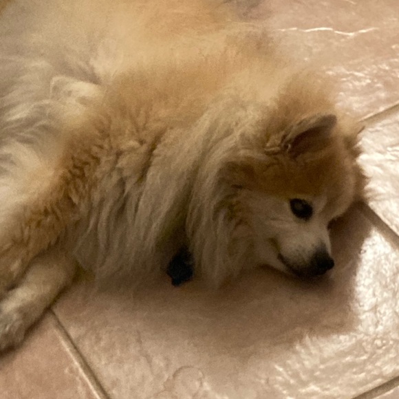 Meet your Posher, Jean - Picture 2 of 2